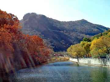 澳门天天免费精准大全，九岁小宠后